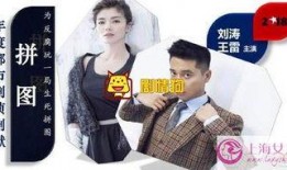 拼图电视剧,揭开真相的碎片之旅