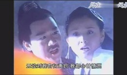 电视剧红杏出墙记,情感纠葛与时代变迁的悲欢离合