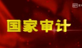 国家审计电视剧,揭秘我国审计工作的幕后故事