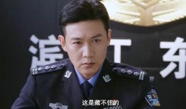 刑警的电视剧有哪些,揭秘悬疑案件的背后