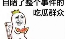 吃瓜群众沈某某小说免费阅读,揭秘小说世界中的免费阅读之旅