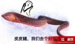 在线观看黄鳝视频,黄鳝视频的黑色产业链