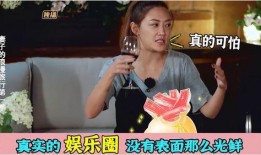 娱乐圈内幕爆料对话,独家对话揭露明星幕后真相