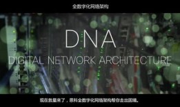 DNA 2在线观看,基因奥秘的深度揭秘之旅