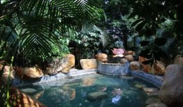 临沂温泉爆料视频大全,视频大全带你领略泉城魅力