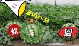 娱乐吃瓜大瓜,独家揭秘明星们的幕后故事