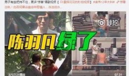 孟贺要爆料视频是真的吗,真相即将揭晓
