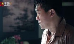 平凡的岁月电视剧,岁月静好，人间烟火