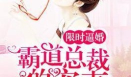 霸道总裁宠妻电视剧,霸道总裁的甜蜜宠妻日常