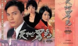 1996年电视剧,时光流转的回忆篇章
