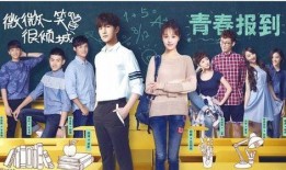 学院电视剧,电视剧中的青春岁月与梦想追求