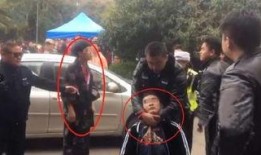 毛人龙被爆料视频播放,揭秘事件背后真相