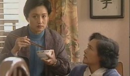 电视剧婆婆媳妇小姑,揭秘电视剧婆婆媳妇小姑的家族纠葛
