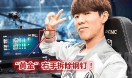 阿济哥最新爆料,揭秘娱乐圈最新动态与幕后真相