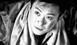 王斑演的电视剧有哪些,从经典剧集到时代印记