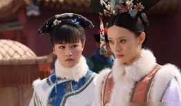 甄嬛传电视剧,宫廷权谋与情感纠葛的华丽演绎