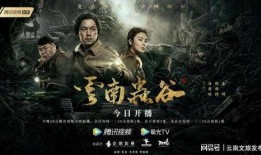 云南虫谷电视剧,探寻神秘古墓，揭开千年谜团