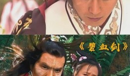 电视剧新碧血剑,江湖恩怨，剑指碧血情仇