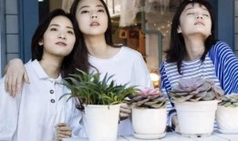 校园剧电视剧大全,青春记忆里的光影时光