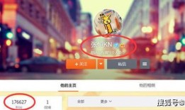 爆料郑爽账号非张恒视频,真相成谜引网友热议