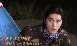 娱乐圈顶流爆料匿名小说,匿名小说背后的真实故事