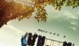 匆匆那年电视剧在线观看,重温青春岁月，共赴时光之旅