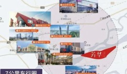 张翰新的爆料视频大全集