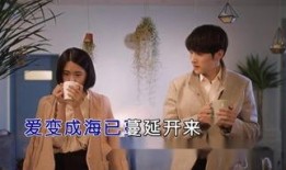 国语电视剧,穿越时空的传奇故事