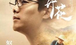 电视剧石头,命运交织的传奇人生