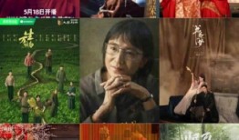 电视剧获奖,电视剧获奖盛典精彩回顾