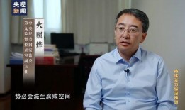 公安厅长20集电视剧,破案风云录