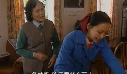 电视剧婆婆媳妇小姑,揭秘电视剧婆婆媳妇小姑的家族纠葛