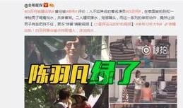 陈凯哥爆料照片大全视频,照片大全视频幕后揭秘