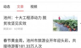新闻头条号爆料,新闻头条号最新动态揭秘