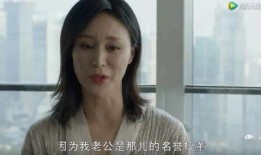 富婆电视剧,财富与情感的交织