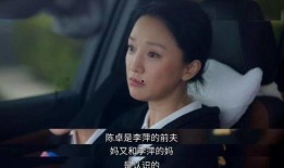 一部电视剧要拍多久,一部电视剧的拍摄历程揭秘