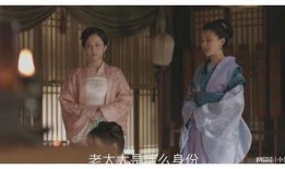 宅斗电视剧,宅斗剧中的权谋与爱情