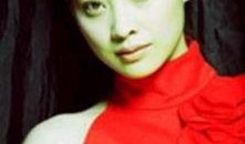 玻璃婚 电视剧,揭秘现代婚姻的脆弱与坚守