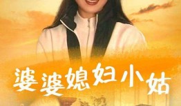 电视剧婆婆媳妇小姑,揭秘电视剧婆婆媳妇小姑的家族纠葛