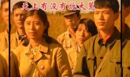 年轮电视剧主题曲,岁月流转，青春不散场