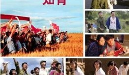 知青电视剧,青春岁月的奋斗与变迁