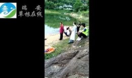 草根在线观看,在线观看背后的故事与启示