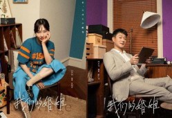 电视剧我们的婚姻,情感纠葛与家庭抉择的写实画卷