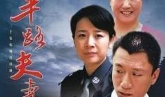 半路夫妻电视剧在线观看,缘起缘灭，爱在半路绽放