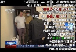胡某宇天涯爆料最新视频,事件背后惊人真相曝光
