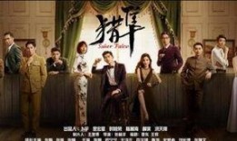 猎隼电视剧,揭秘特工世界，生死较量中的忠诚与信仰