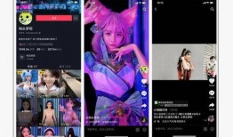 呆呆的爆料视频大全最新,揭秘娱乐圈幕后真相