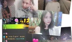 双子最新爆料视频播放在线观看,独家揭秘，精彩瞬间不容错过！