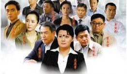 国家审计电视剧,揭秘我国审计工作的幕后故事