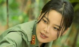 辛芷蕾主演的电视剧,情感纠葛与命运抉择